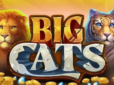 Baloobet Casino screenshot